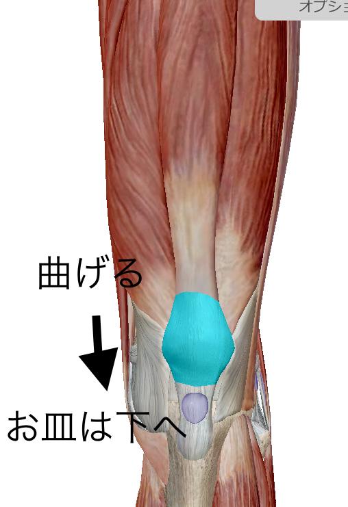 膝の前が痛い しゃがみこんで膝が痛い 神戸三宮 整体フィット フィット鍼灸整骨院